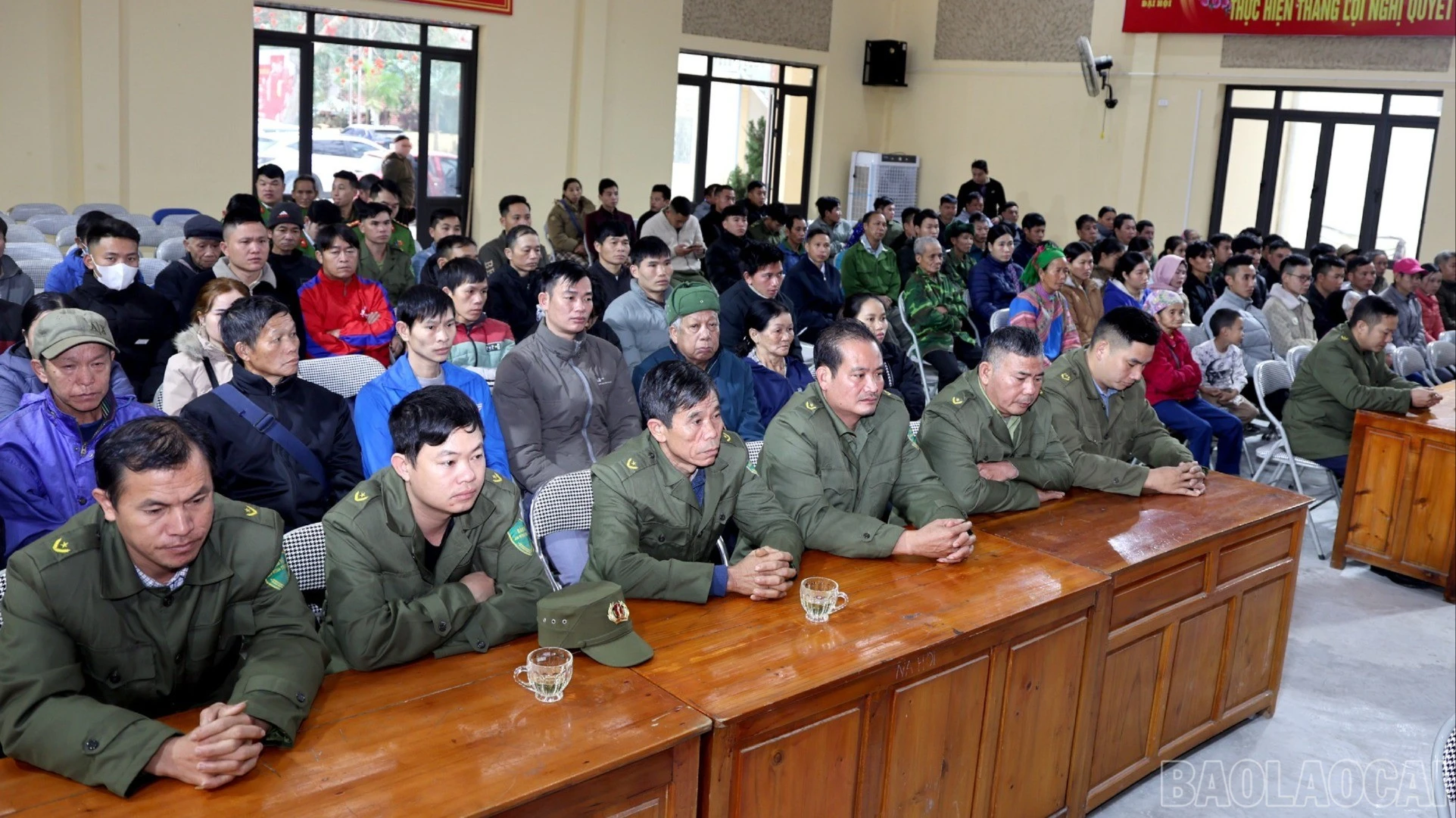 baolaocai-tl-cltt4.jpg