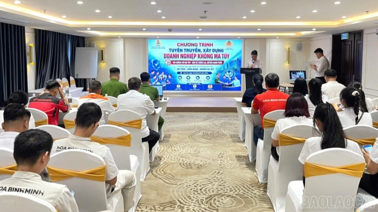 baolaocai-bl-z7954179433812-9c2b2b63680b10f38ab9641d0cd10ef3-2307.jpg
