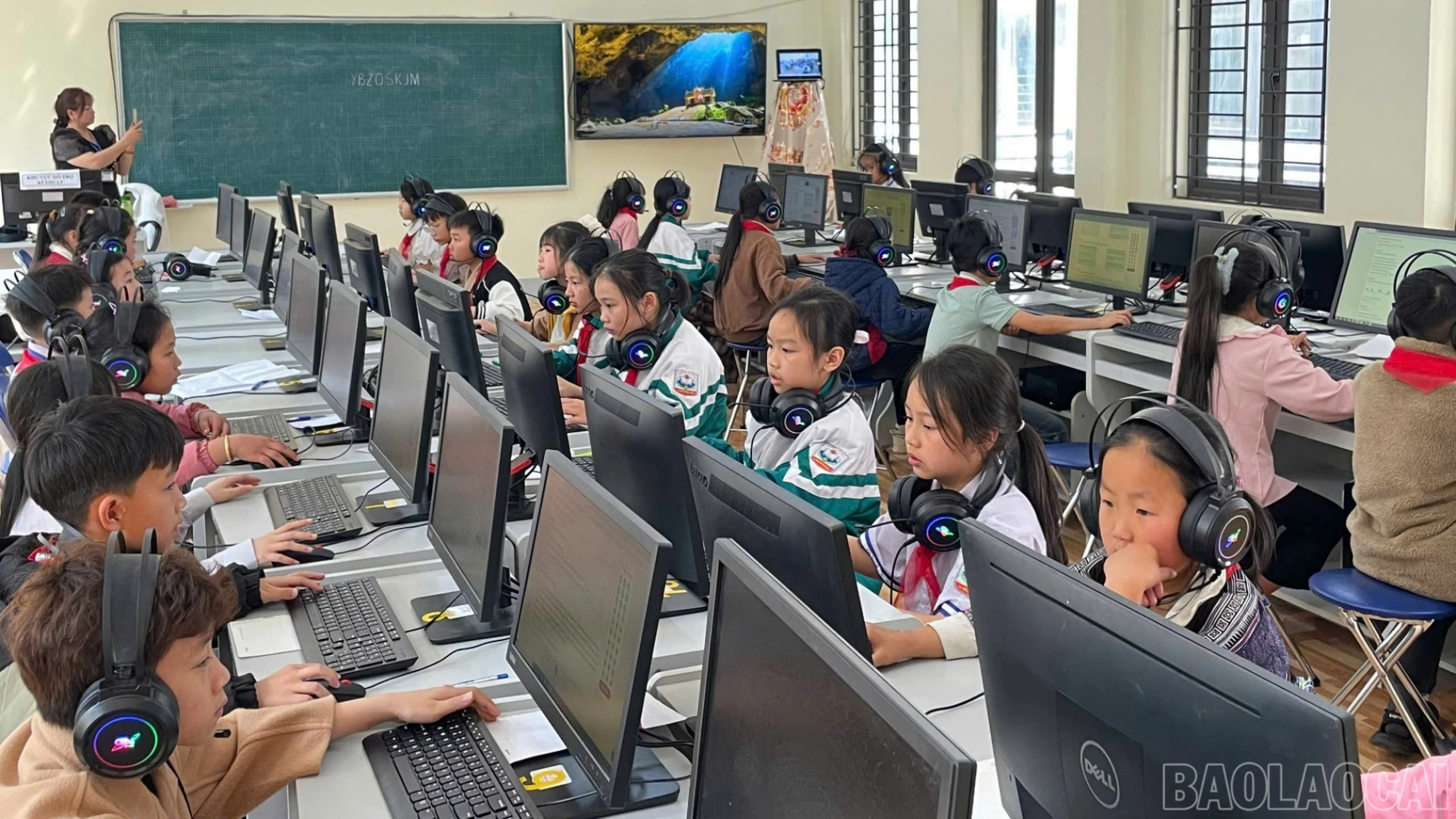 baolaocai-br_1e494098d1d45c8a05c5.jpg
