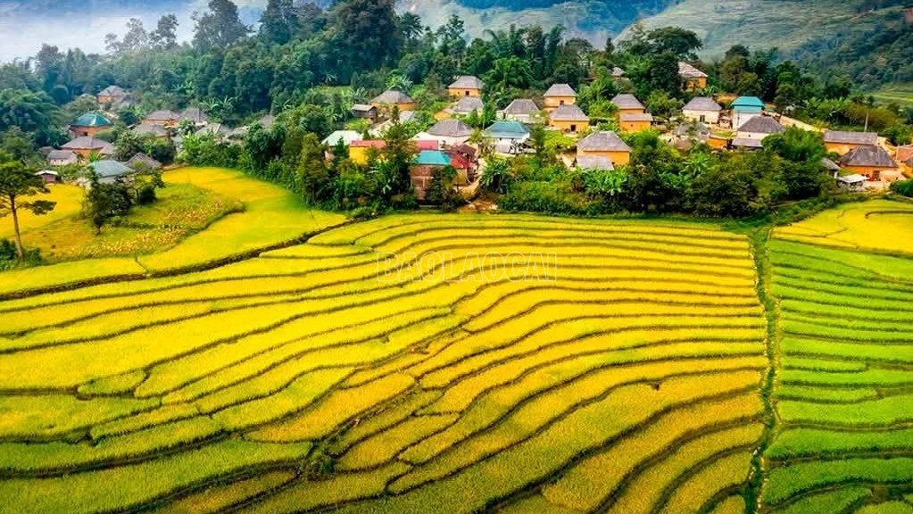 baolaocai-c_765929104-3156418604559118-3368875601718784593-n-946.jpg