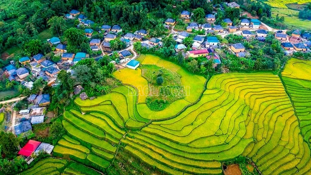 baolaocai-c_763847673-3152772281590417-3940059166814279663-n-9032.jpg