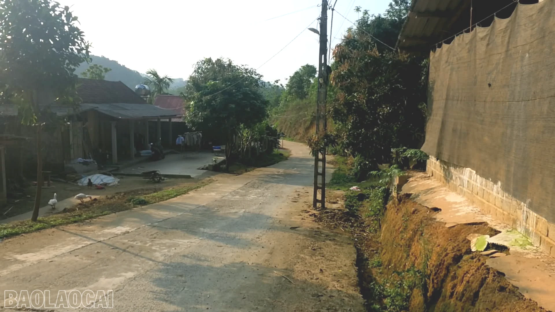 bl-anh-4-cot-dien-tren-tuyen-dduuwownhf-xuan-quang-2-di-coc-man-xa-xuan-quang.png