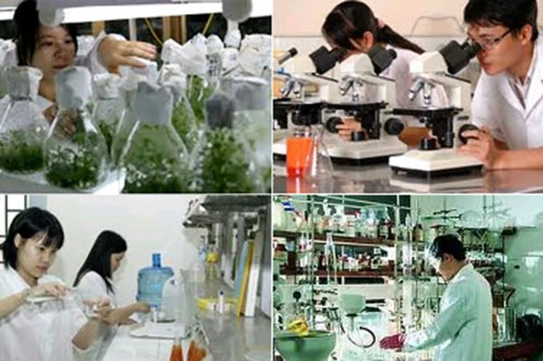 Xây dựng các chính sách ưu đãi, hỗ trợ cho doanh nghiệp KH&amp;CN.
