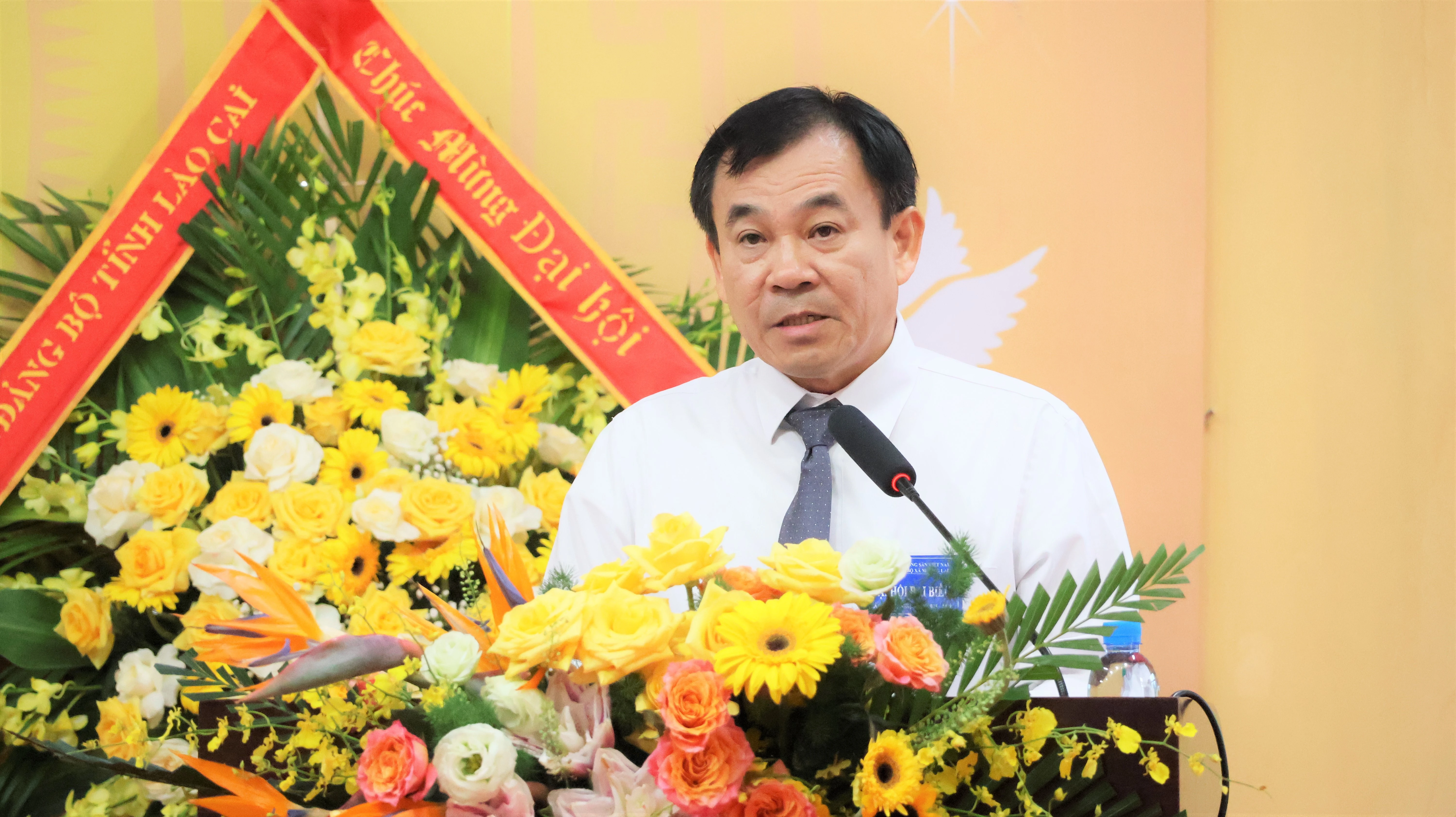 dong-chi-pham-toan-thang-uy-vien-ban-thuong-vu-tinh-uy-truong-ban-to-chuc-tinh-uy-phat-bieu-chi-dao.jpg