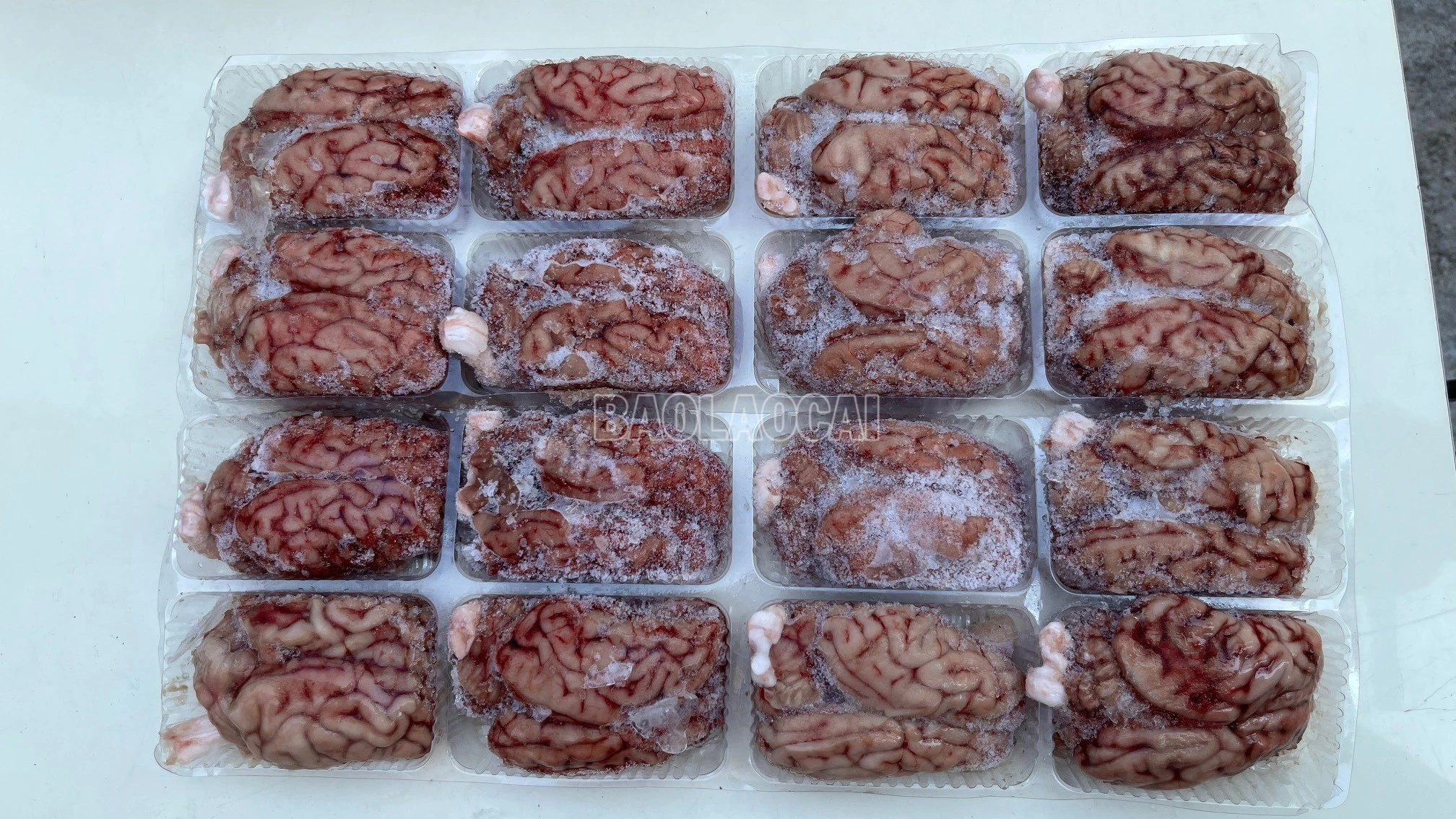 baolaocai-c_6.jpg