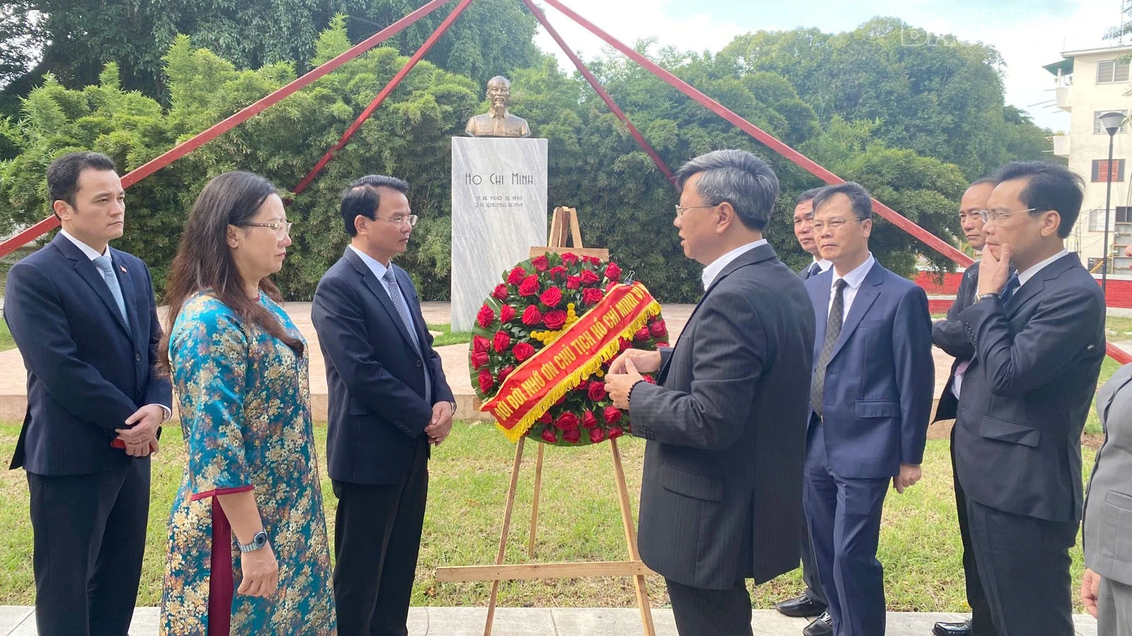 baolaocai-tr_anh-7.jpg