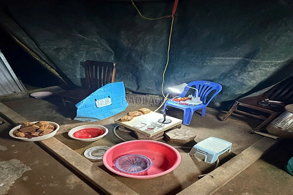 baolaocai-c_1000000686.jpg