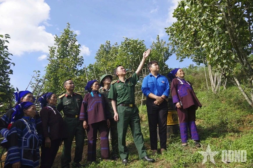 Cán bộ Đoàn Kinh tế - Quốc phòng 345 hướng dẫn người dân kỹ thuật chăm sóc cây lê. Ảnh: PHÙNG ANH TUẤN