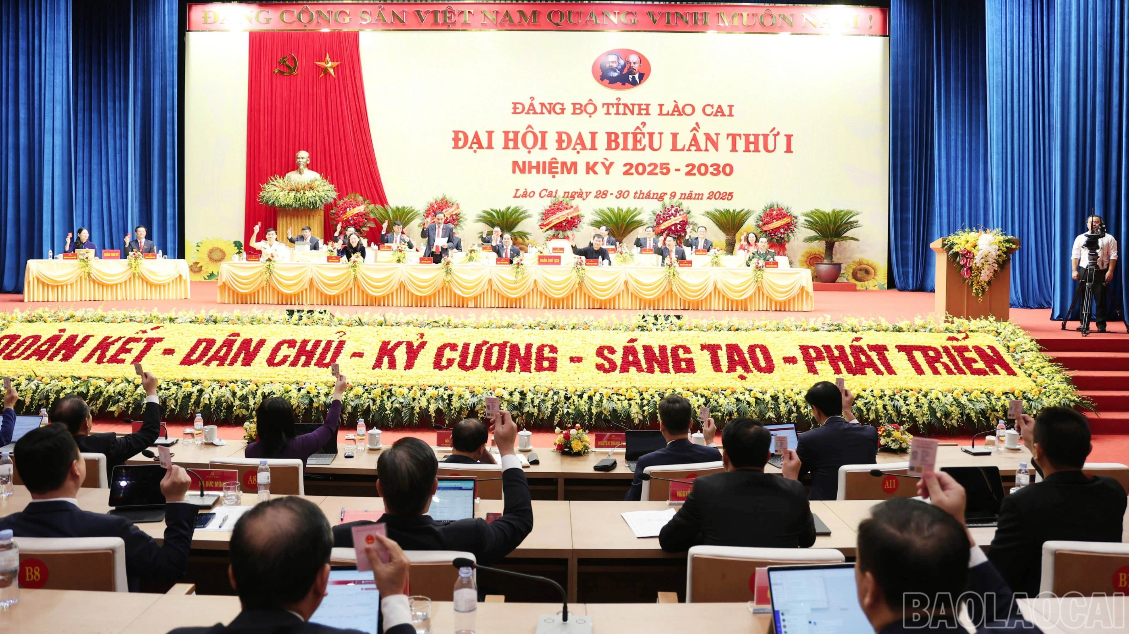 baolaocai-br_img-3350.jpg