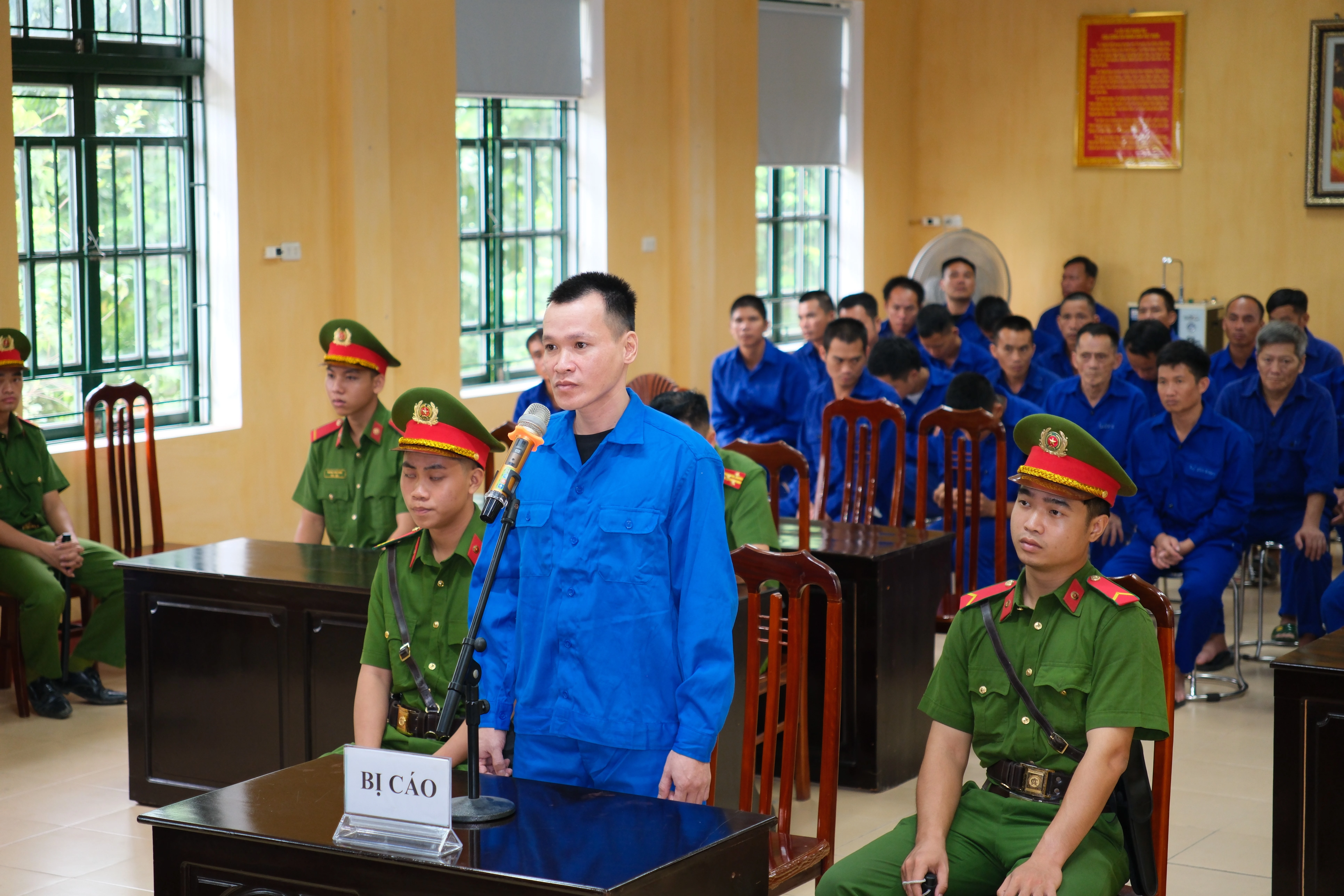 anh-6.jpg
