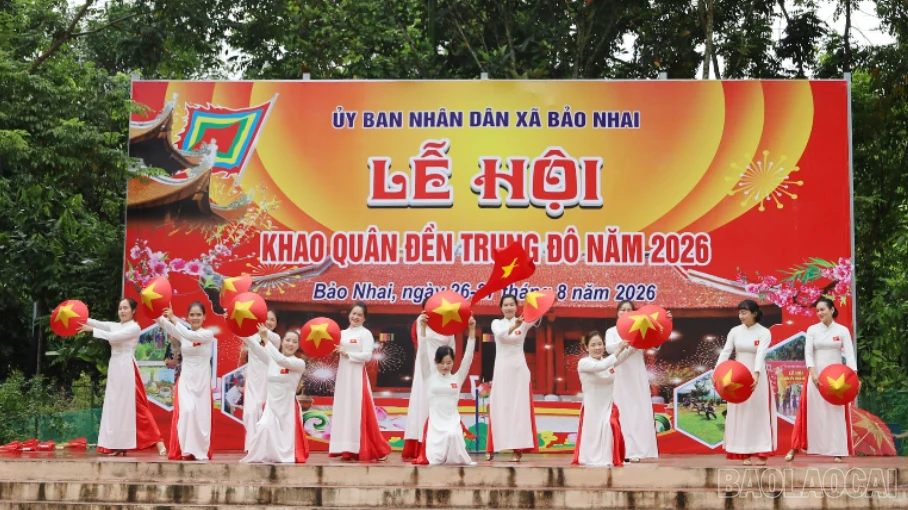 baolaocai-tr-3.png