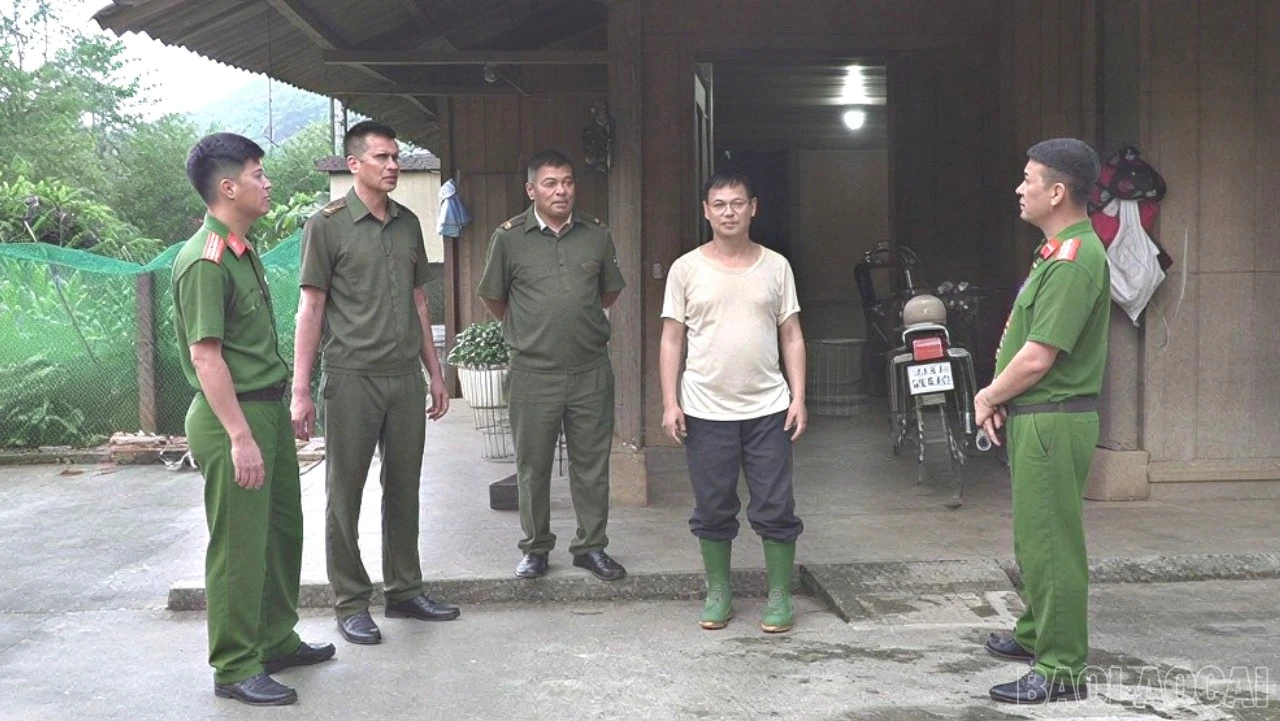 baolaocai-tr-tr-cagiahoi-86-3282.jpg