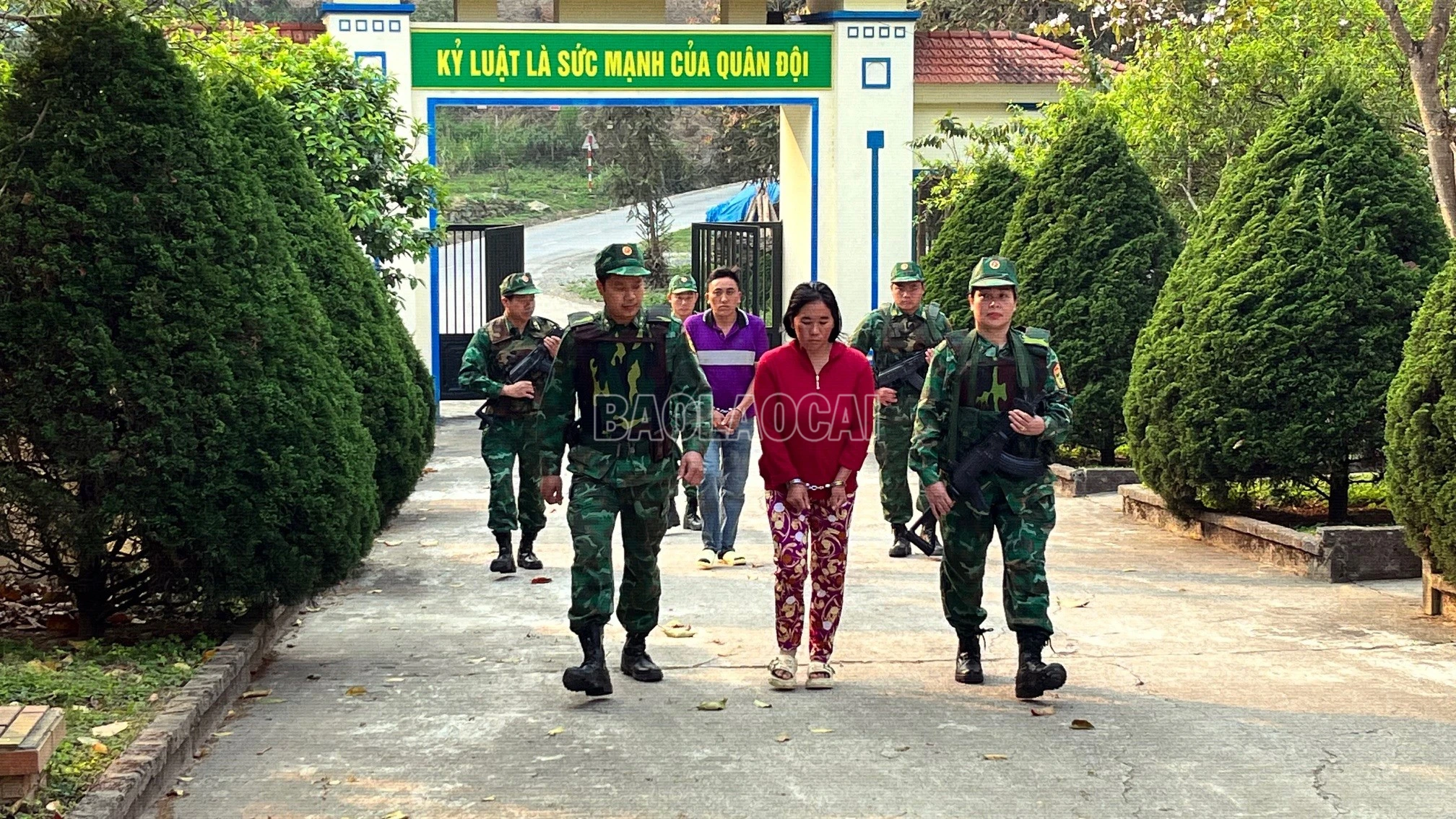 baolaocai-c_4.jpg