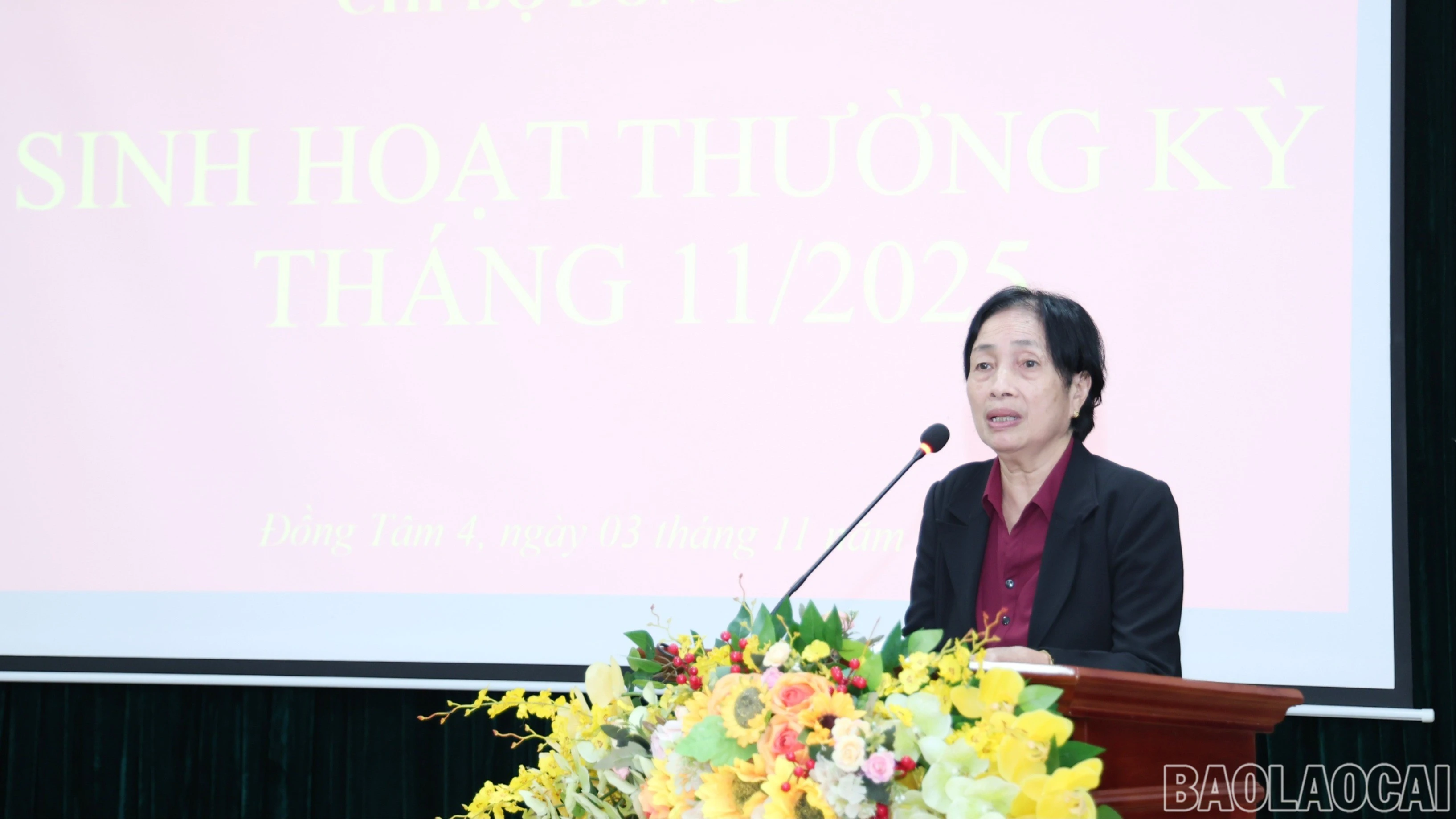 baolaocai-br-img-0018.jpg