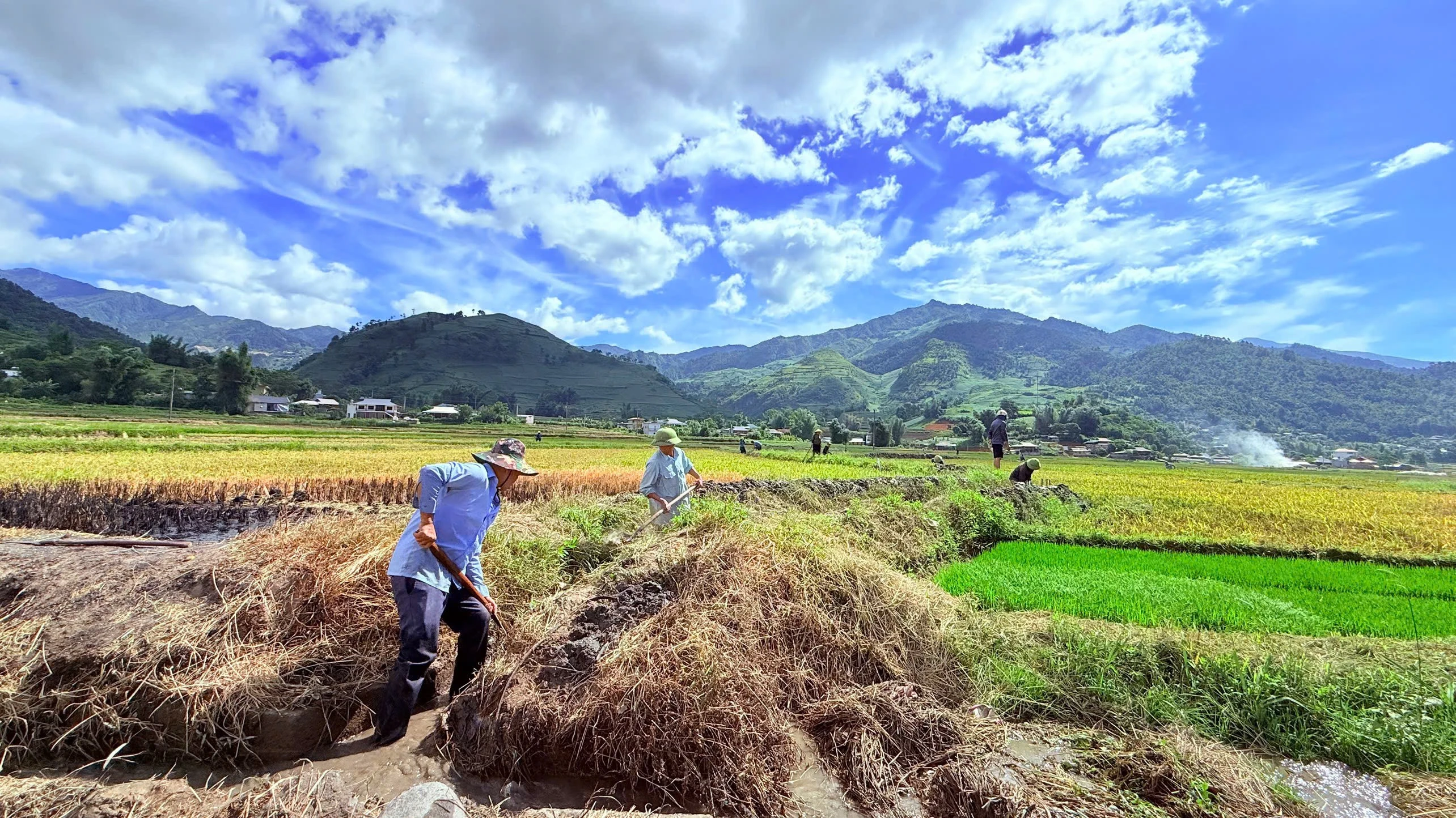 nhan-dan-thon-ban-com-xa-tu-le-nao-vet-muong-lay-muoc-san-xuat-vu-mua.jpg