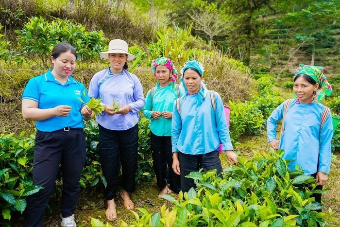 Những năm qua, tỉnh Lào Cai đã đạt được nhiều kết quả trong công tác giảm nghèo thông tin ở vùng đồng bào dân tộc thiểu số.