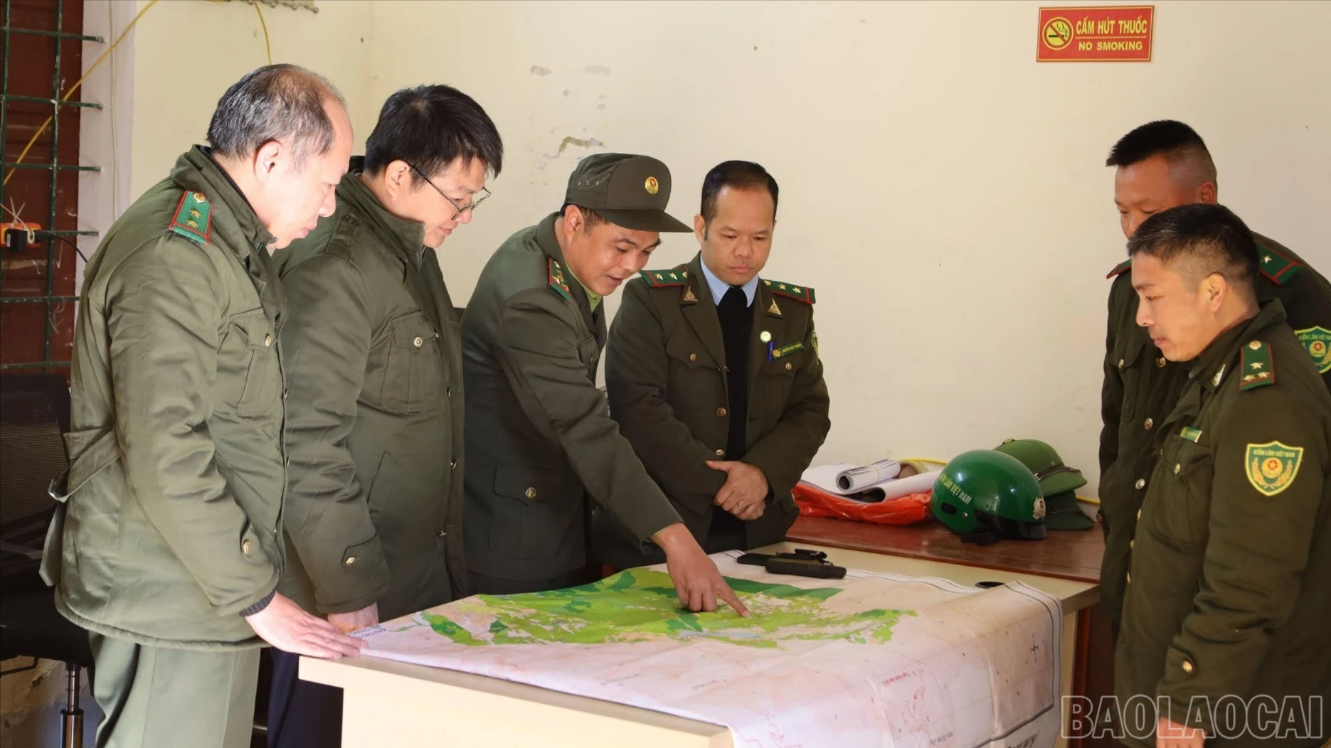 baolaocai-tr-5.jpg