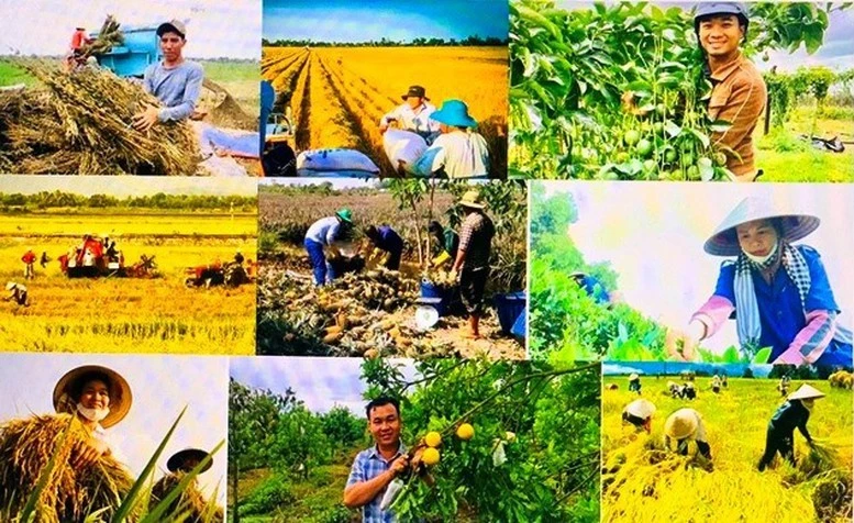 Bộ Tài chính đề xuất cơ chế, chính sách phát triển kinh tế nông thôn, sản xuất, đa dạng hóa sinh kế, việc làm và nâng cao thu nhập.