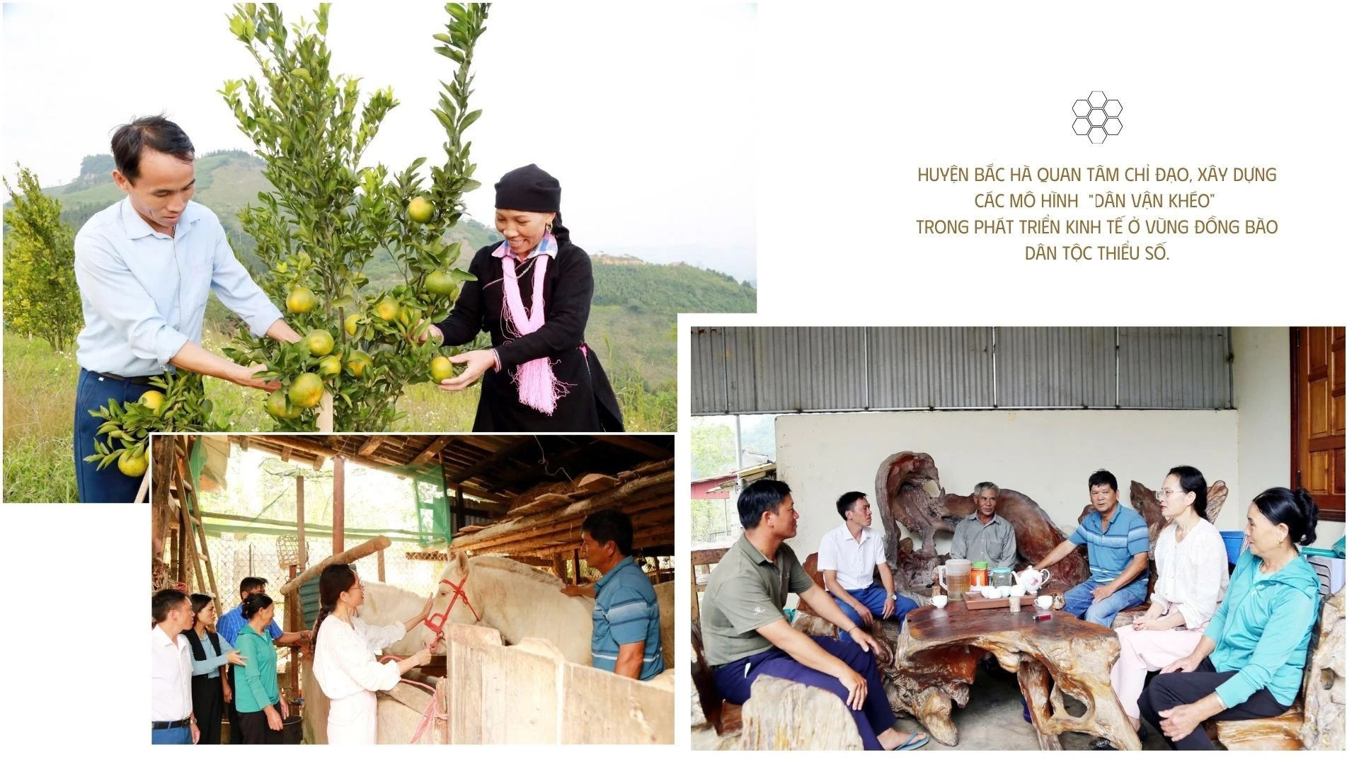 nang-cao-hieu-qua-dan-vanzip-7-9801-7715-9124.jpeg