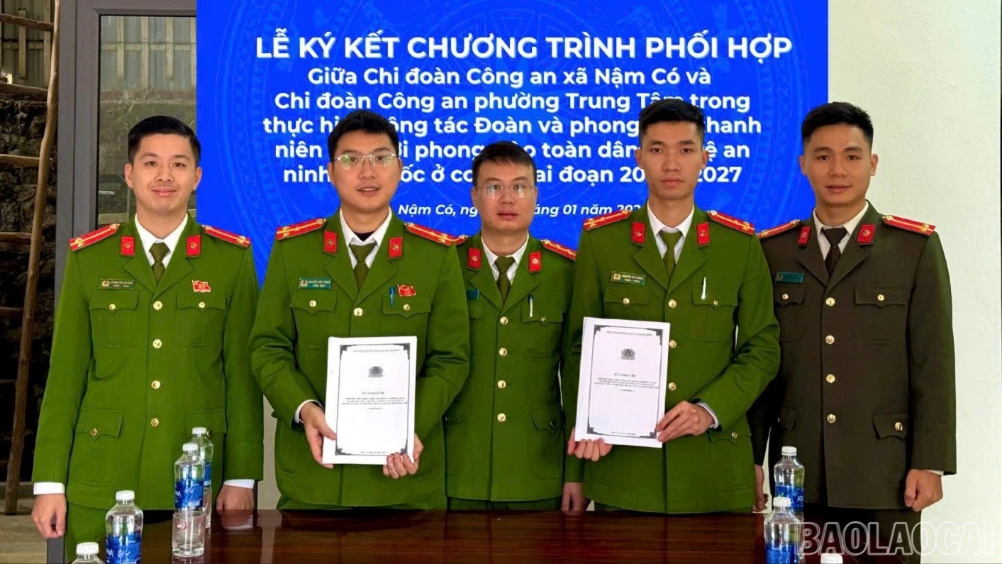 baolaocai-br-z7387378560458-5e8484bd65c21724267de5299fc4976a.jpg