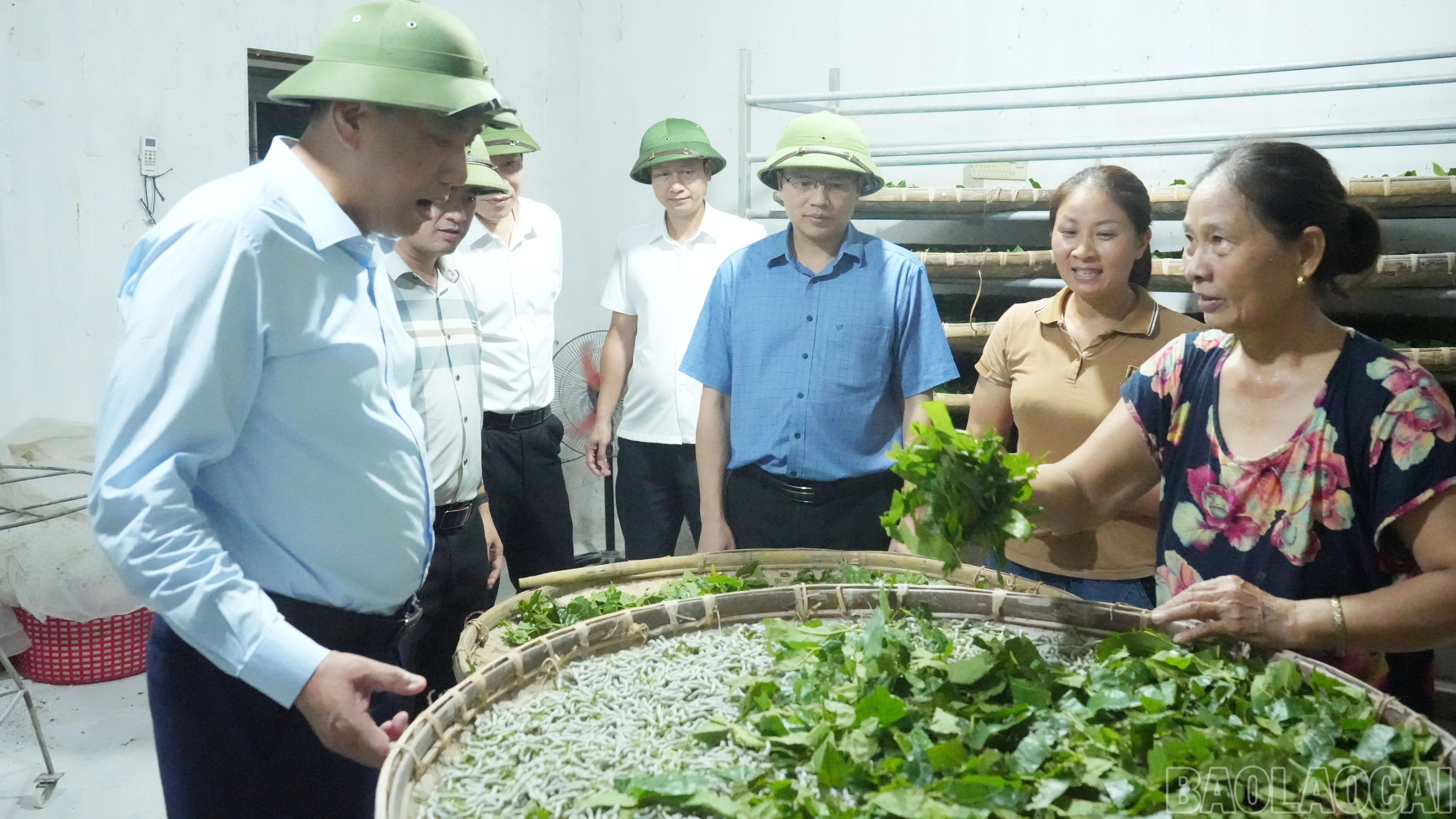 baolaocai-br_tham-mo-hinh-nuoi-tam-con.jpg