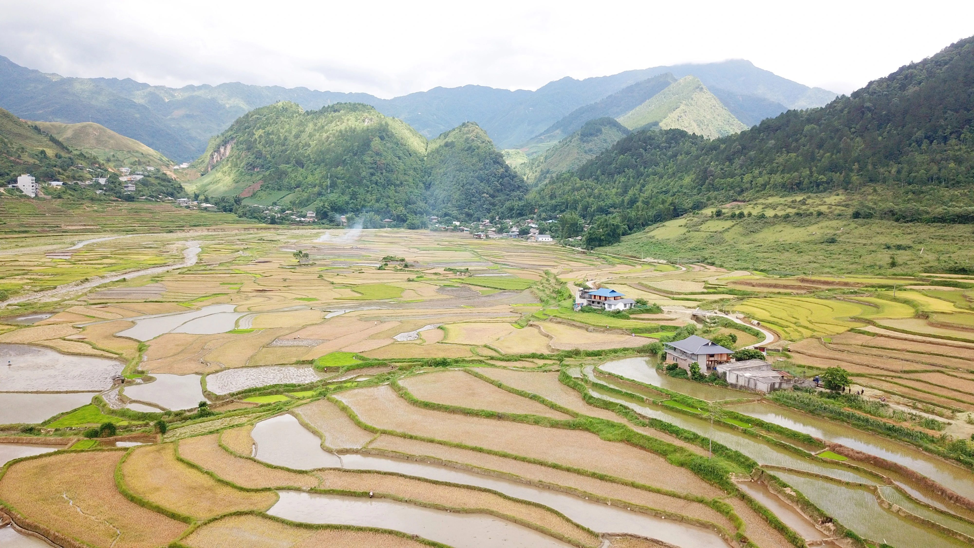 canh-dong-lua-tu-le-sau-thu-hoach.jpg