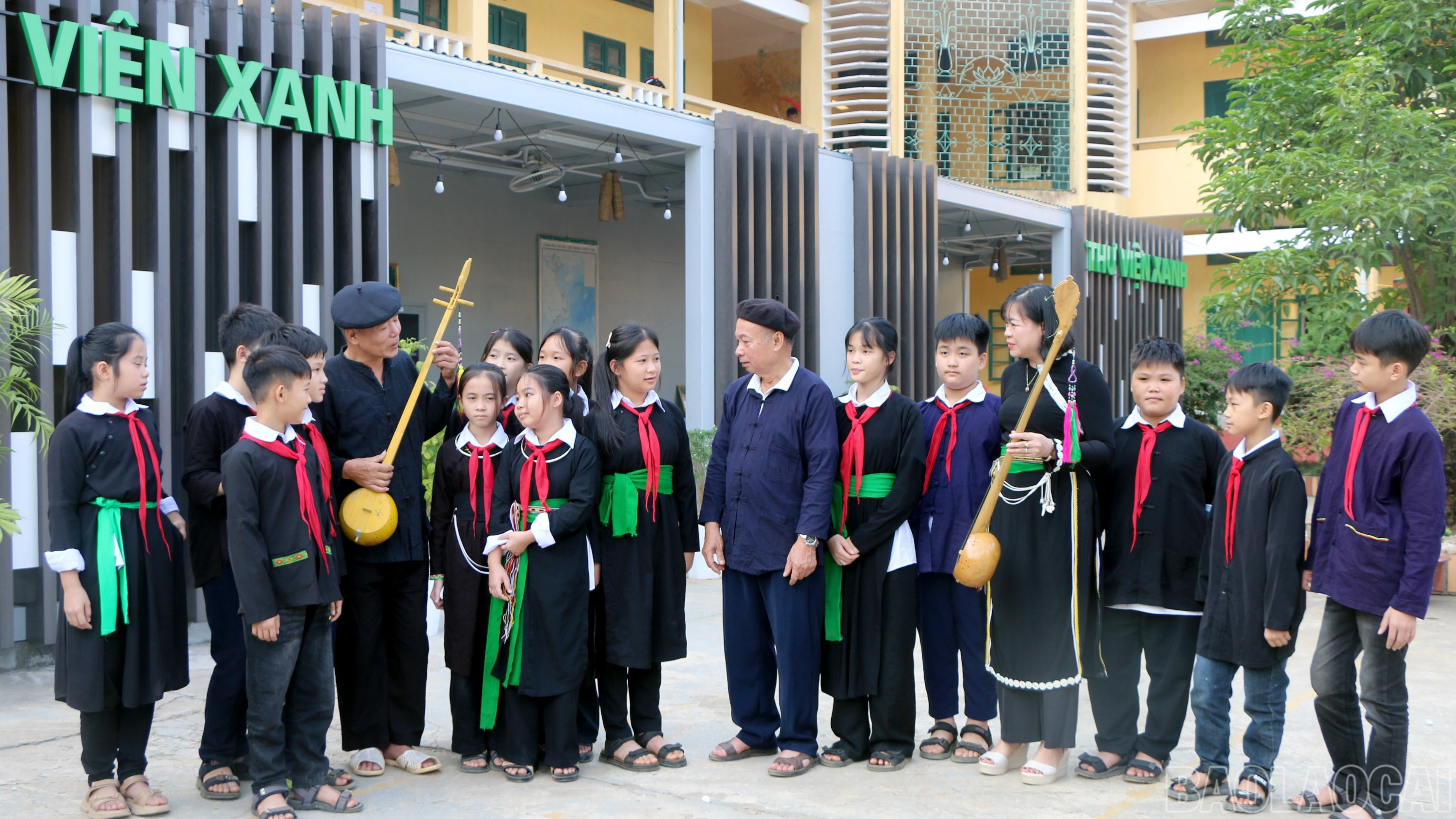 baolaocai-br-img-9307.jpg