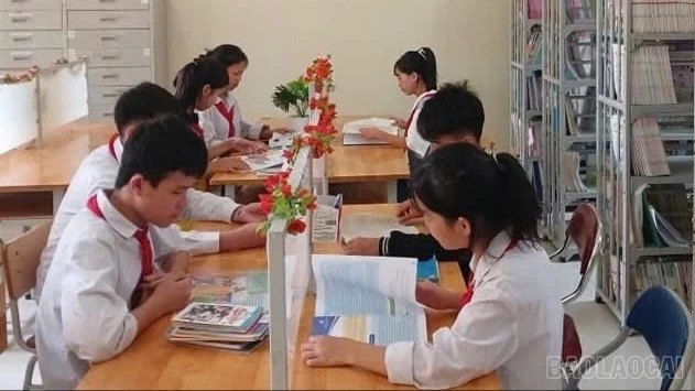 baolaocai-br-z7263570991537-78a39ebfb8f4a3b6a9b2a6458b61117c.jpg
