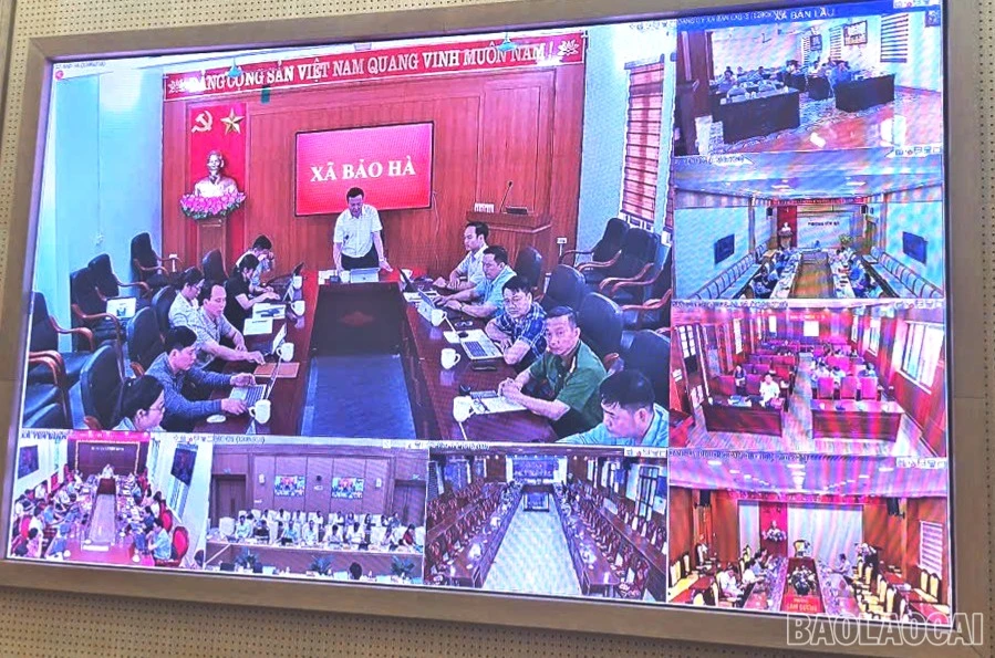baolaocai-br-z7973750483253-402c8faeefb63b6f0f32b54f63914991.jpg