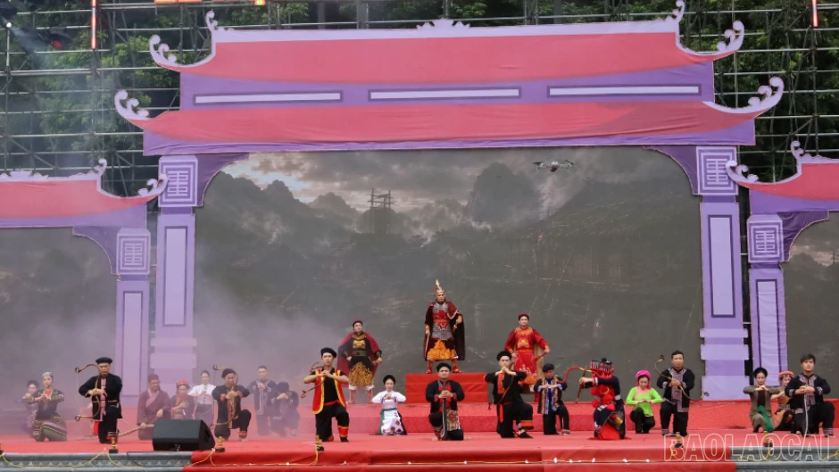 baolaocai-tr-b.png