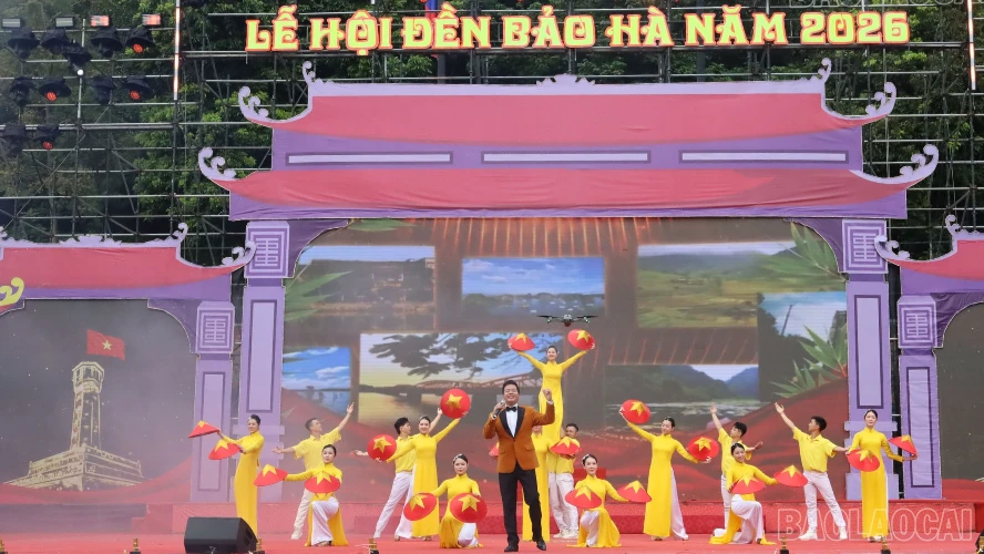 baolaocai-tr-7.png