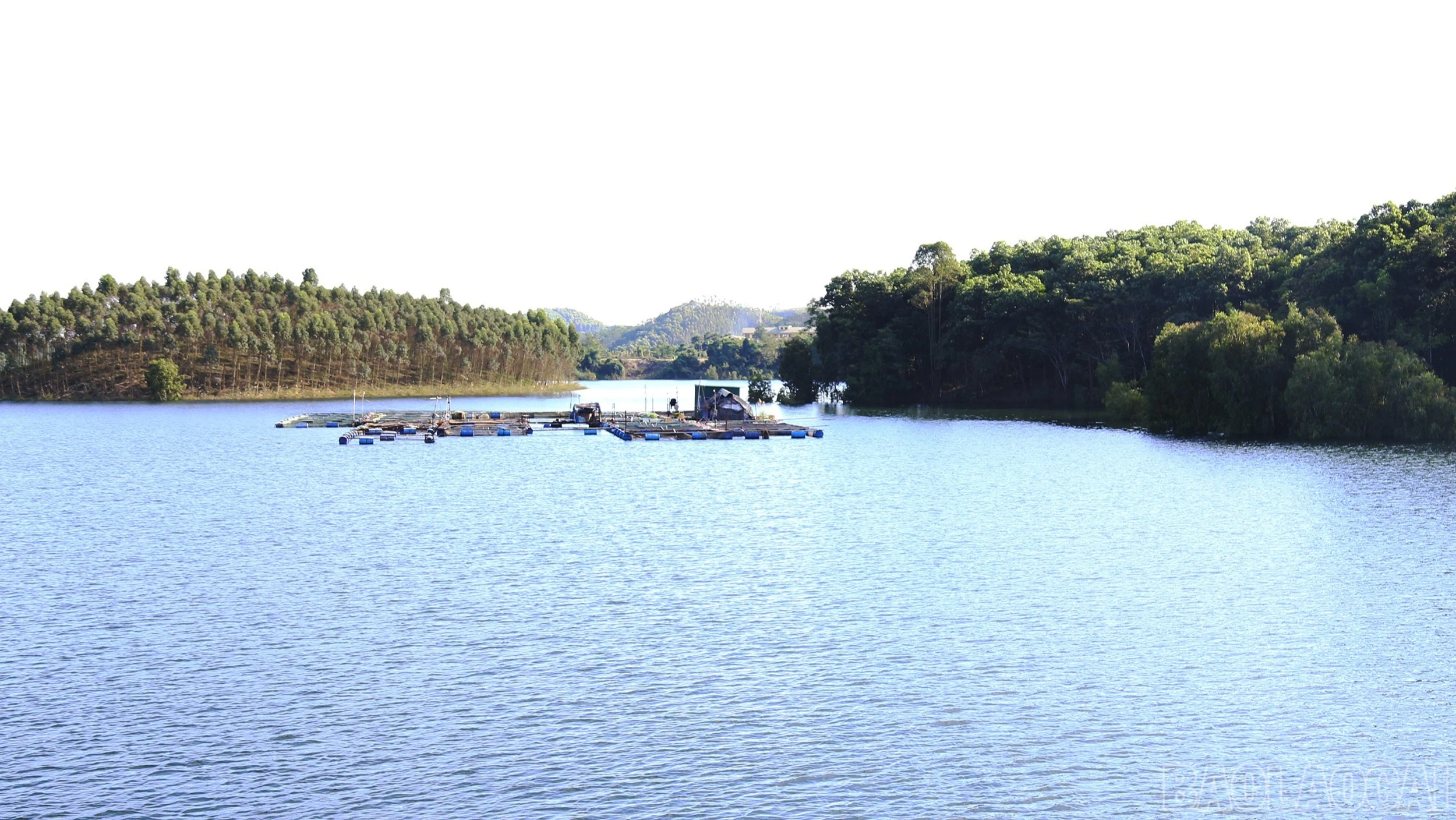 br-img-1182.jpg