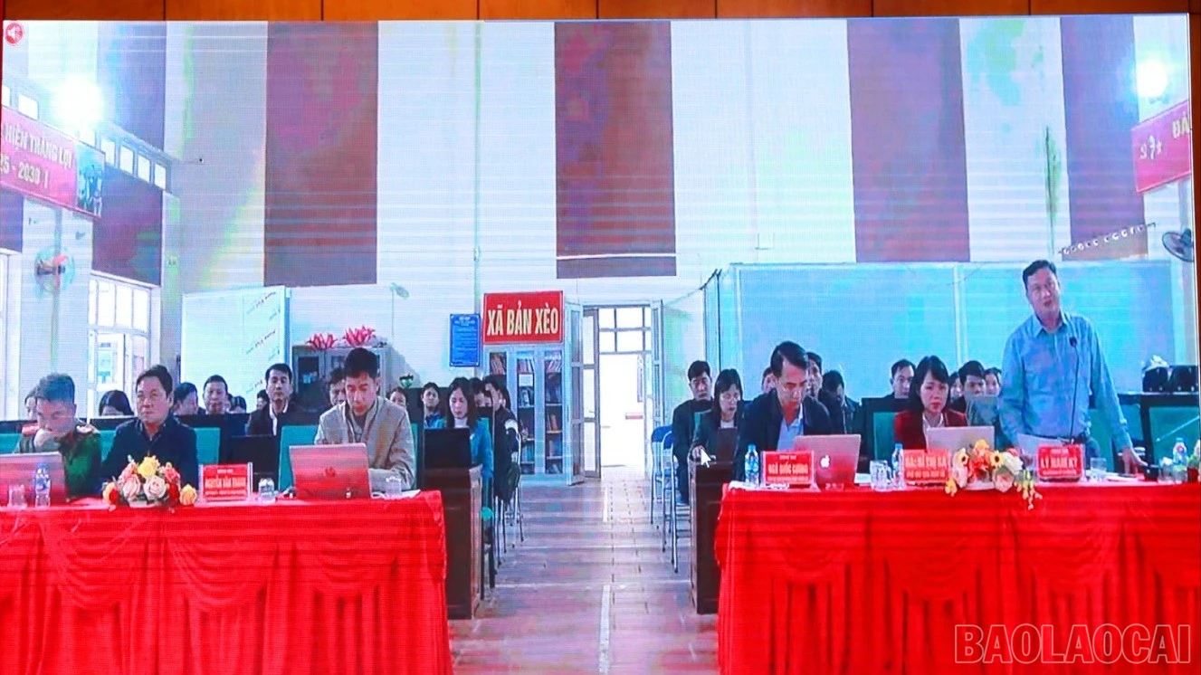 baolaocai-br-13.jpg