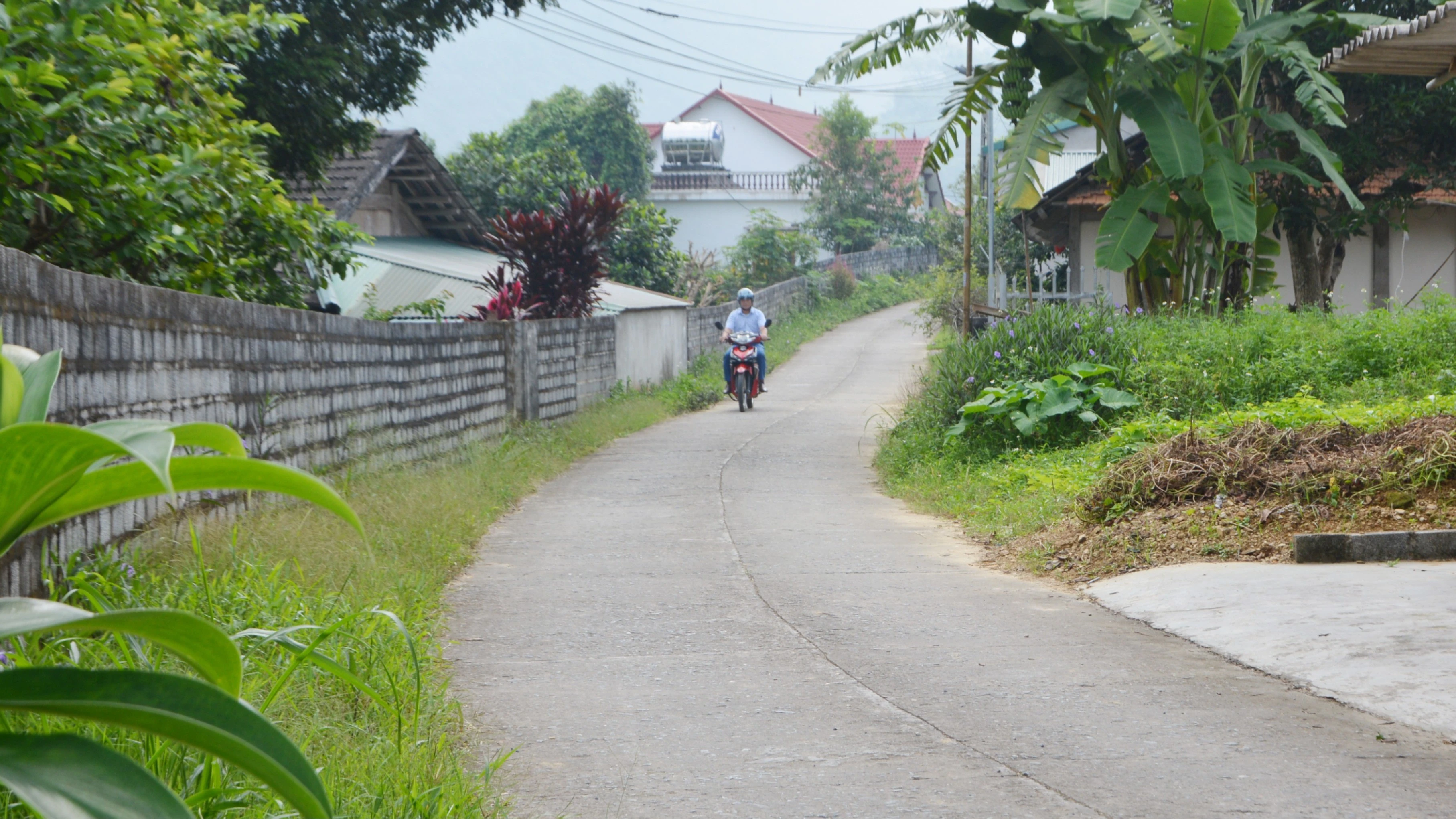 dsc-9006.jpg