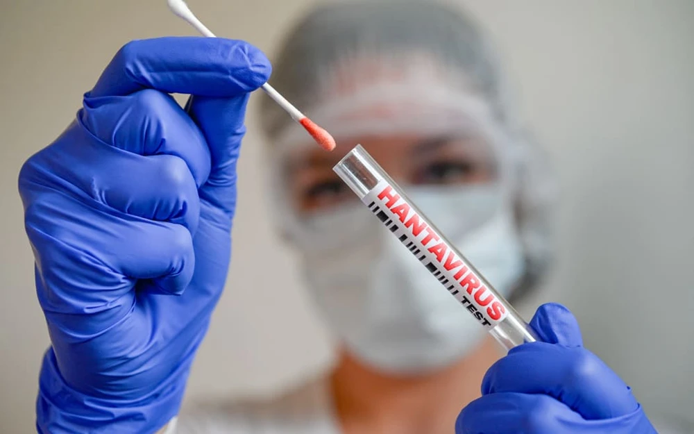 Virus Hanta rất khác COVID-19 về cách lây lan, mức độ gây chết người. Ảnh: AFP