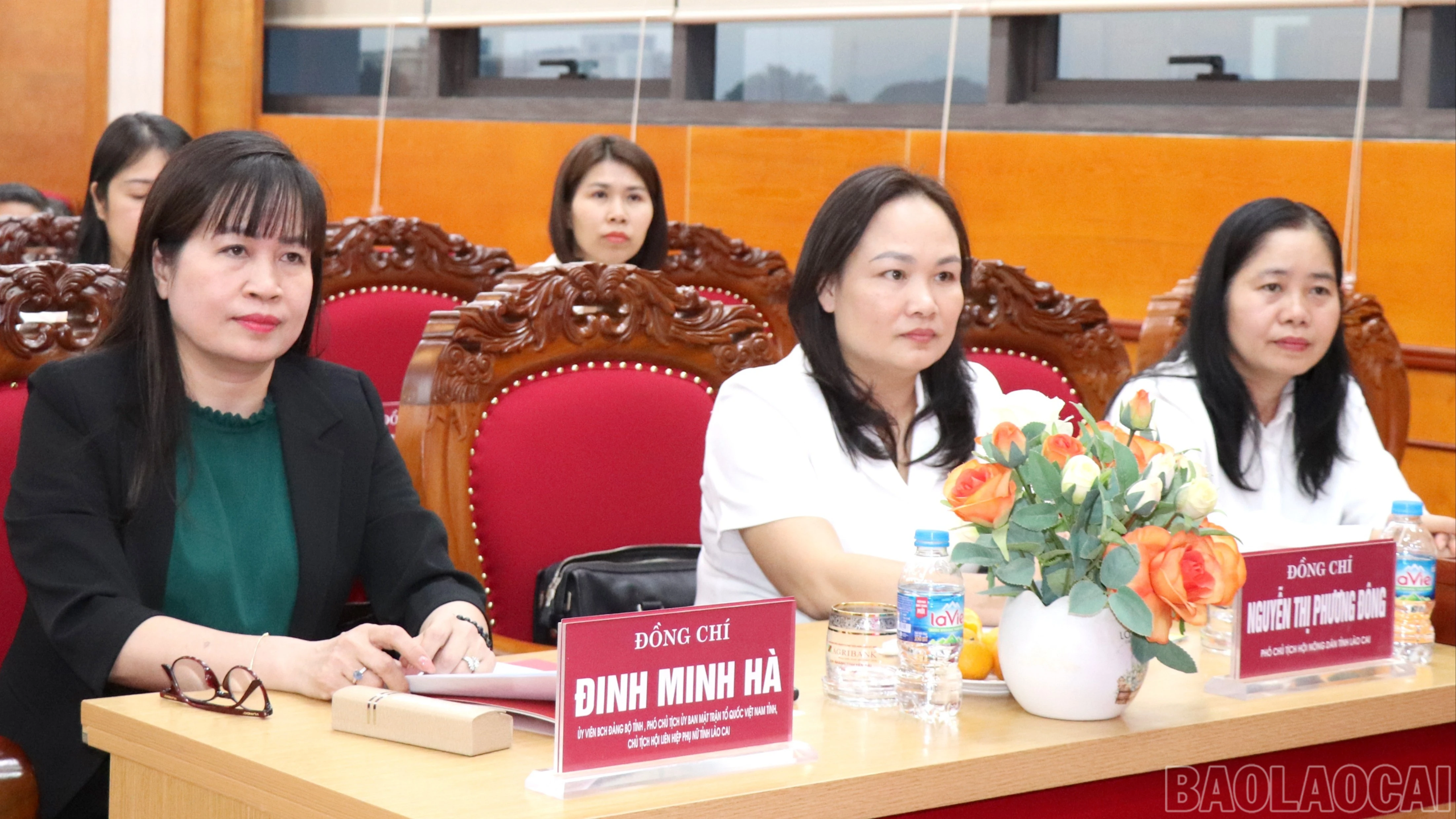 baolaocai-br_anh-22.jpg