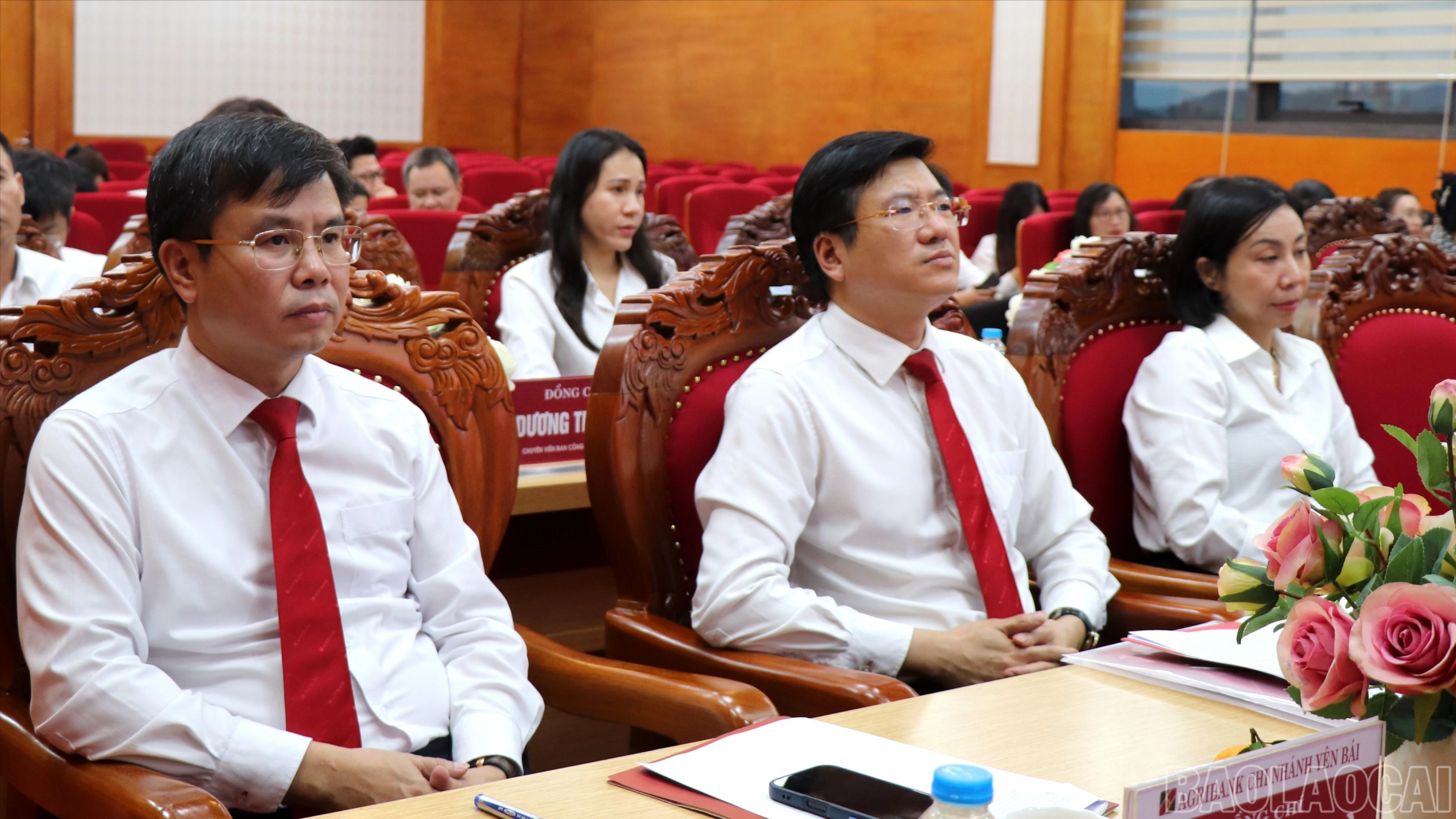 baolaocai-br_anh-33.jpg