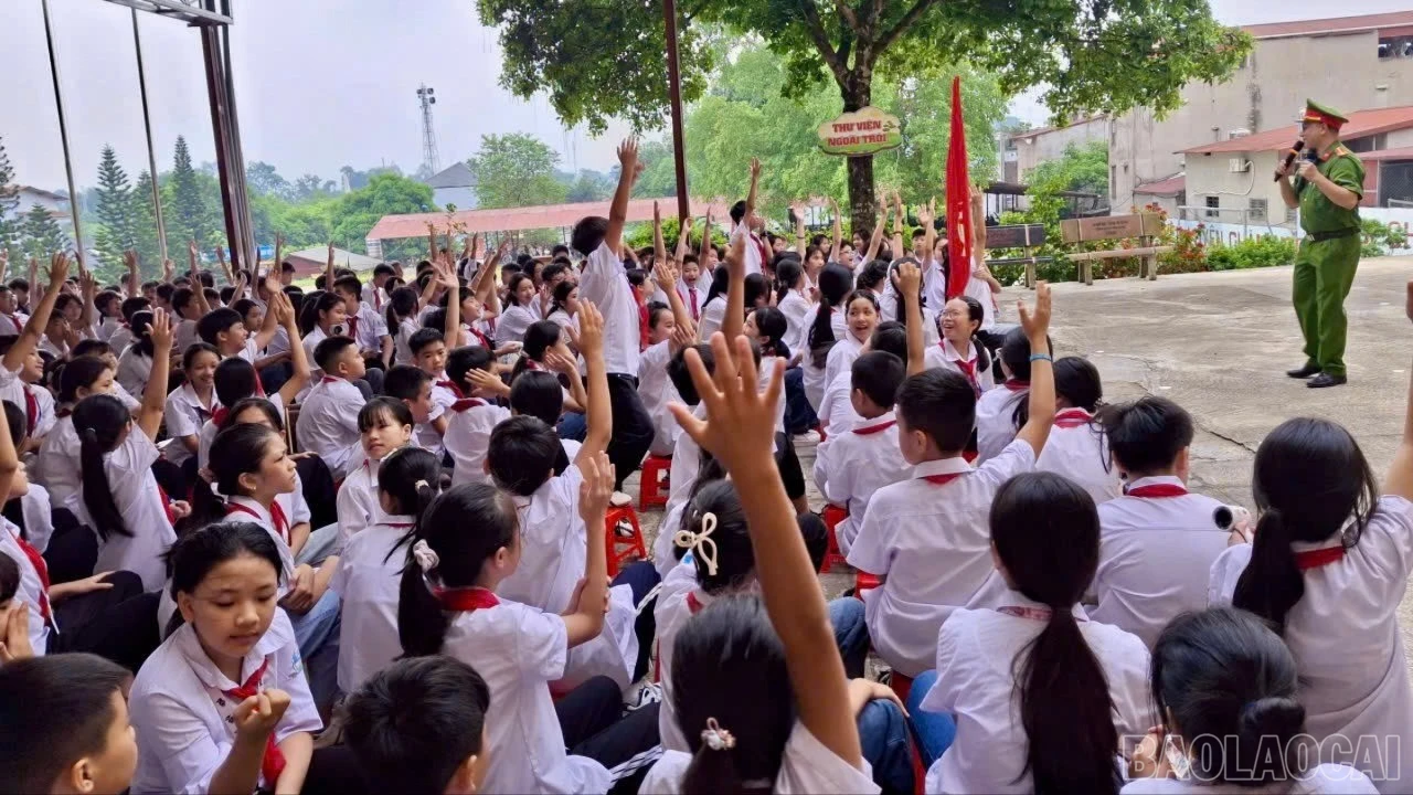 baolaocai-tr-z7219617858006-178b80e1168caf460fb8f405d45a5f00.jpg