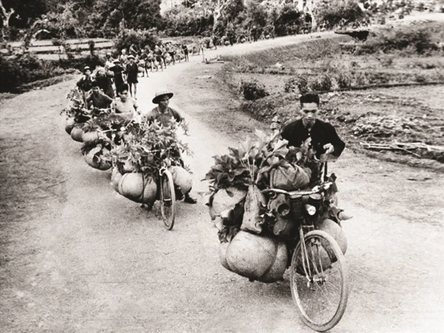 cu-huong-anh-1-1444.jpg