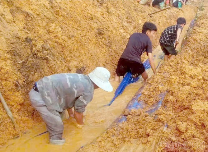 baolaocai-br-lam-muong-sua.jpg