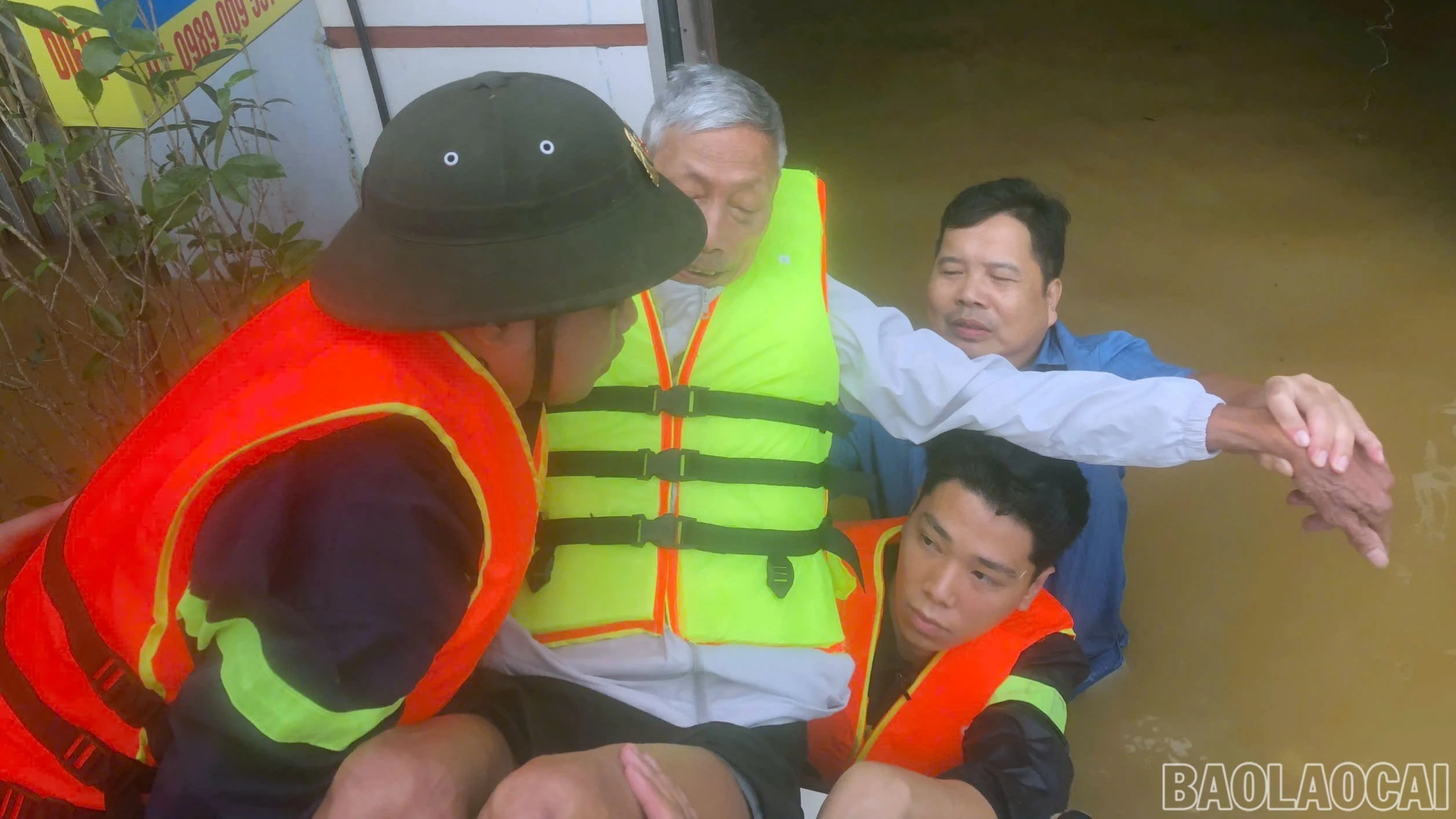 baolaocai-br-pc-3.jpg