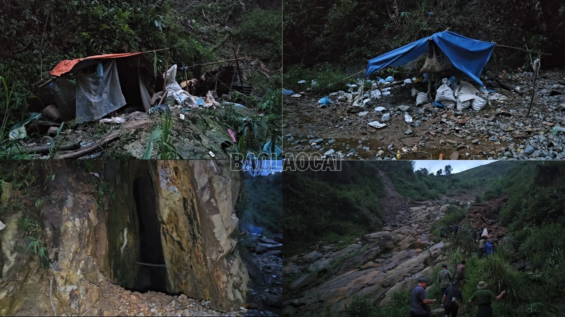 baolaocai-c_1000001032.jpg