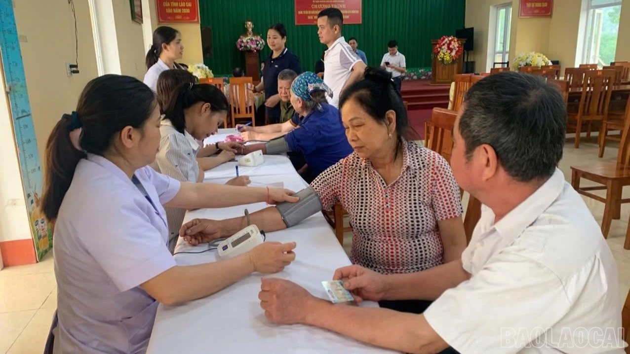 baolaocai-br-665497567-967460385981223-9017389158691604693-n.jpg
