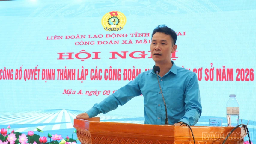 baolaocai-bl-dc-minh-pb.png