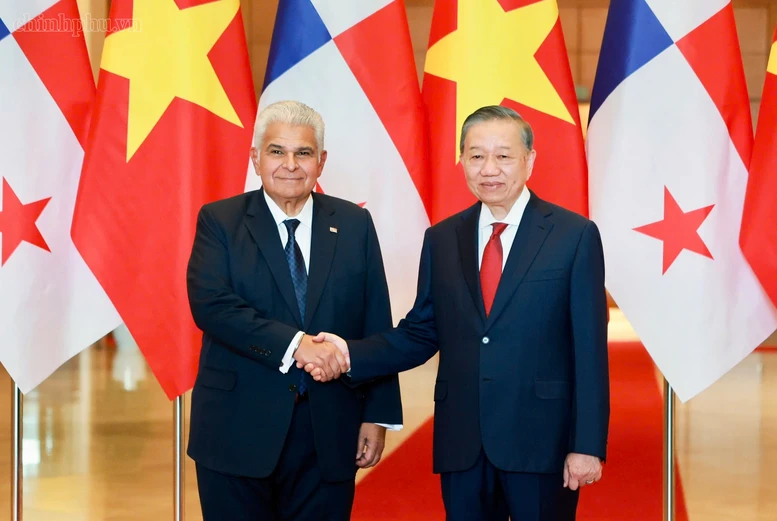 Tổng Bí thư, Chủ tịch nước Tô Lâm hội đàm với Tổng thống Cộng hòa Panama - Ảnh: chinhphu.vn/Nhật Bắc