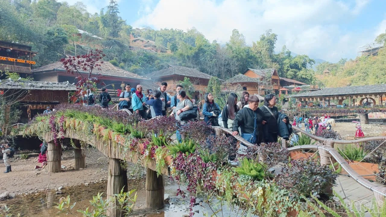 baolaocai-br-z7773343724102-9648c33f7832726acb1ca2a848ddc483.jpg