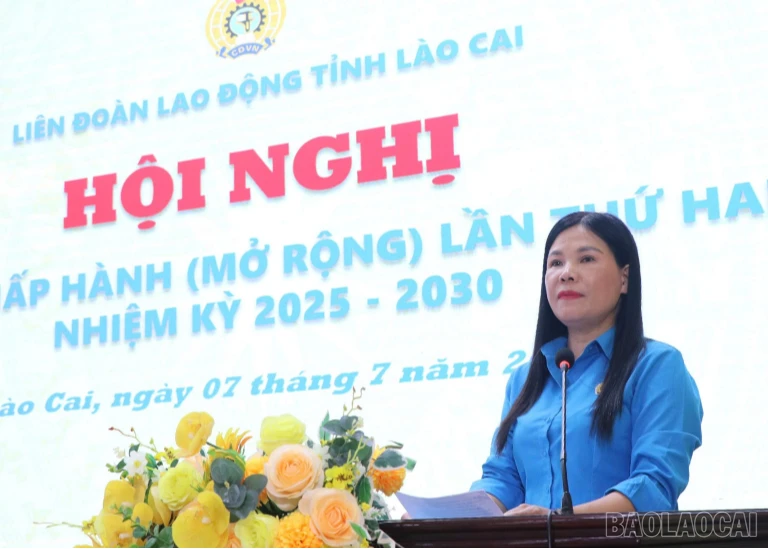 baolaocai-bl-1783401633024-7603158084598533529-7603158084598533529-d06091a59d2f6a46da8fe39bf8bfc131.png