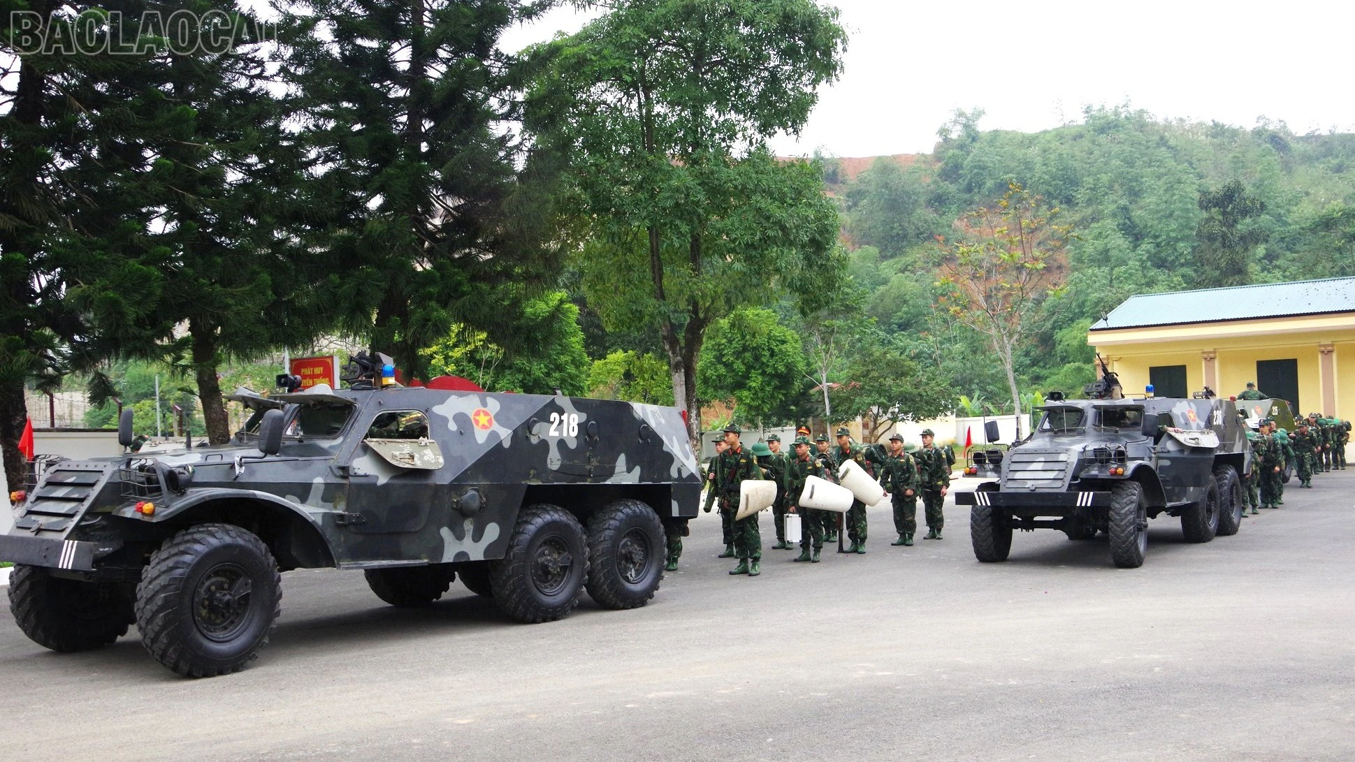 baolaocai-tl_a2-21.jpg