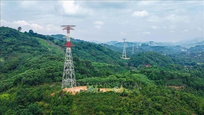 Ảnh tư liệu.