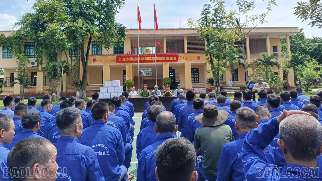 baolaocai-bl-z7343779142373-670ea7e717d6b79d9d890d8e72830908.jpg